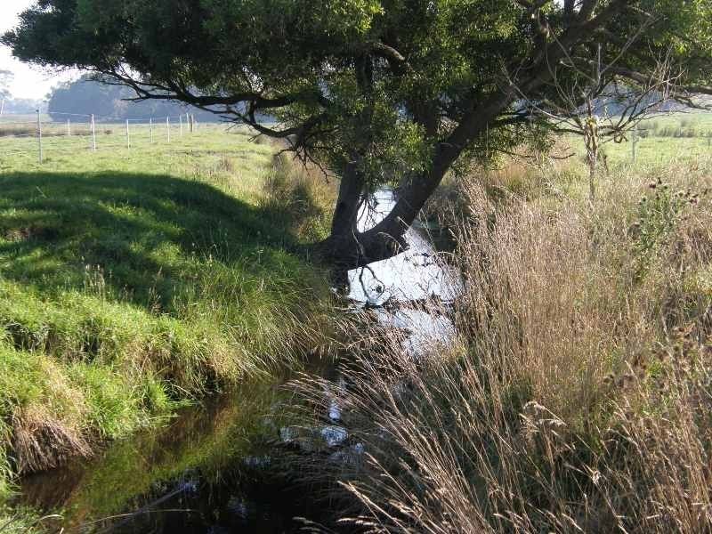 164 Boddingtons Road, Bridport TAS 7262