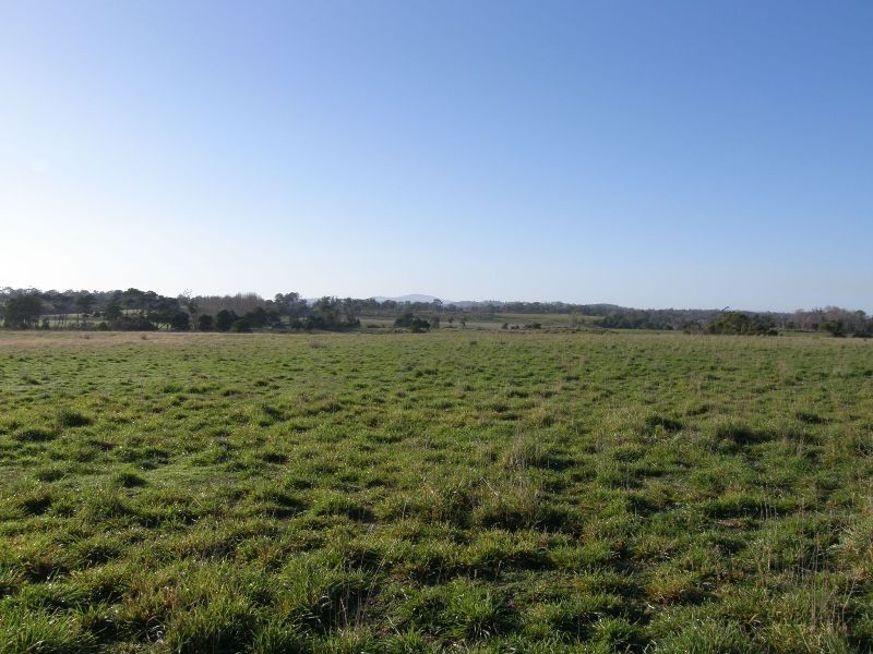 164 Boddingtons Road, Bridport TAS 7262