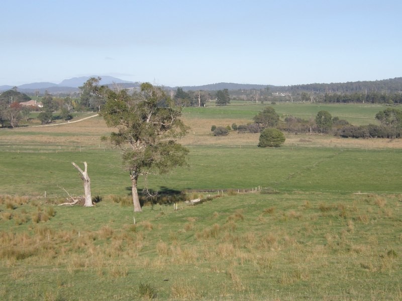 164 Boddingtons Road, Bridport TAS 7262