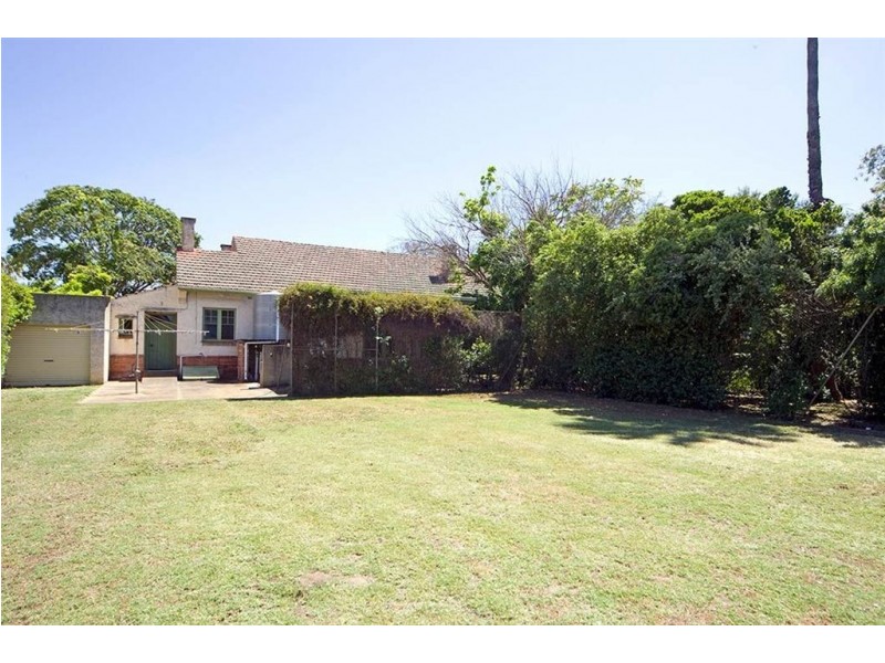 61 Molesworth Street, North Adelaide SA 5006