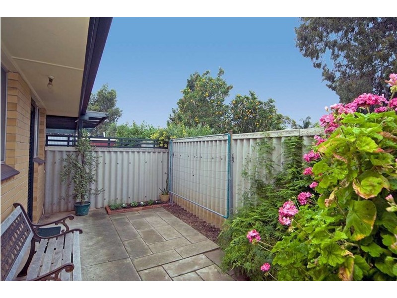 4/29 Ayredale Avenue, Clearview SA 5085