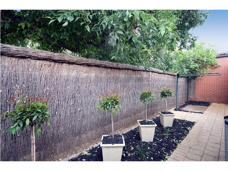 10 Church Terrace, Walkerville SA 5081