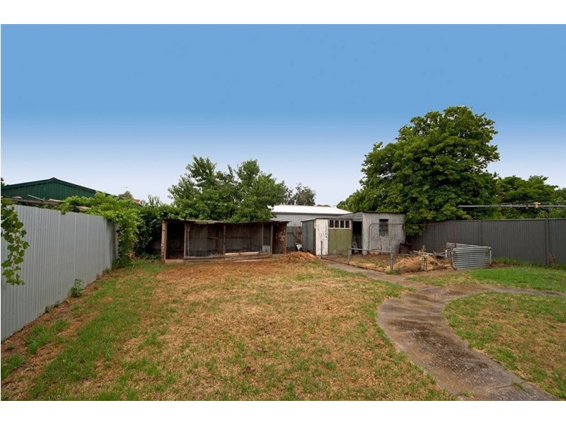 43 Livingstone Avenue, Prospect SA 5082