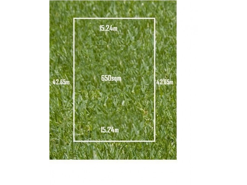 43 Livingstone Avenue, Prospect SA 5082