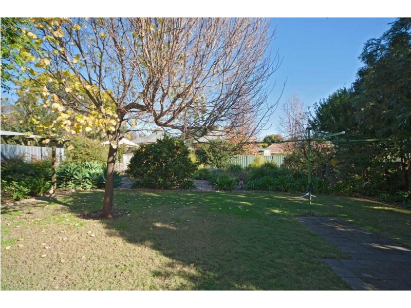 13 Gilding Avenue, Royston Park SA 5070