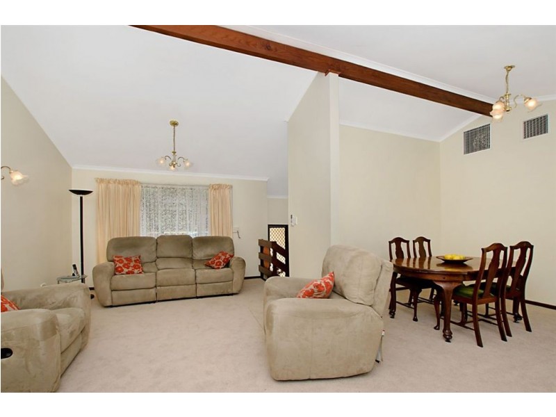 21 Carole Crescent, Modbury SA 5092