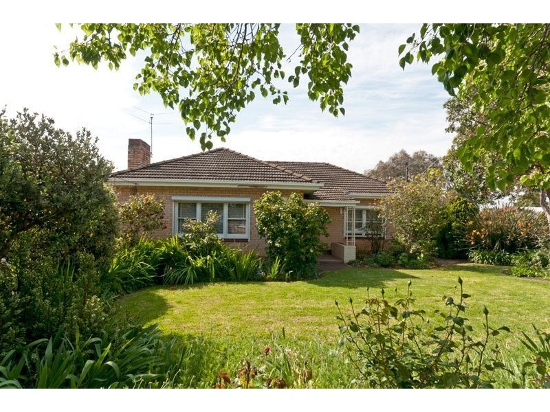 31 Arnold Avenue, Firle SA 5070