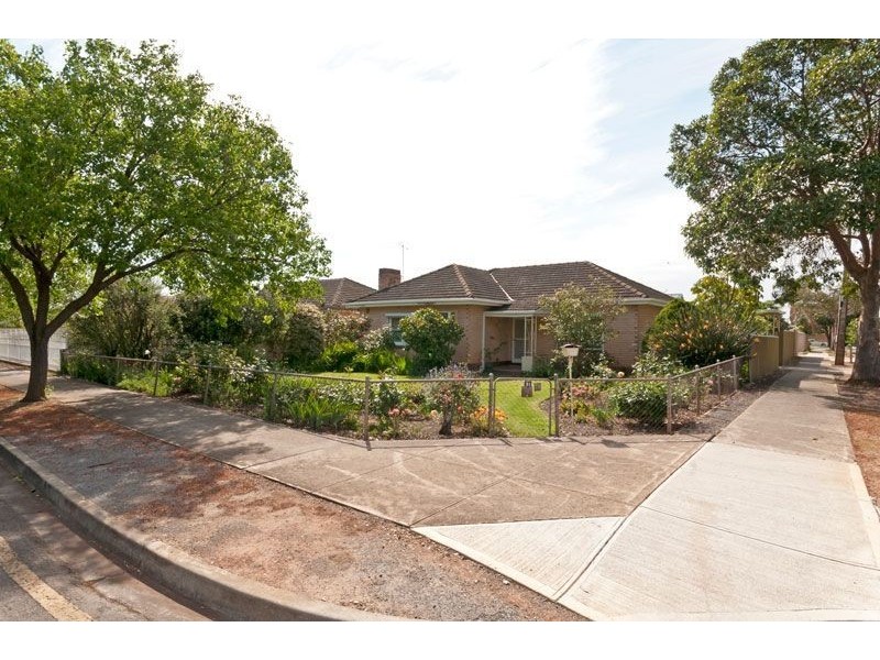 31 Arnold Avenue, Firle SA 5070