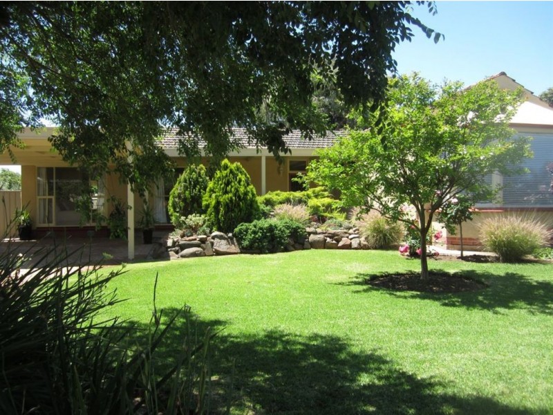 33 Meredith Street, Sefton Park SA 5083