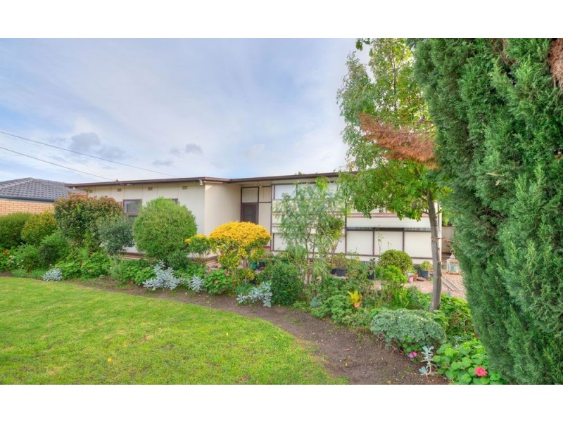 55 Lurline Avenue, Gilles Plains SA 5086