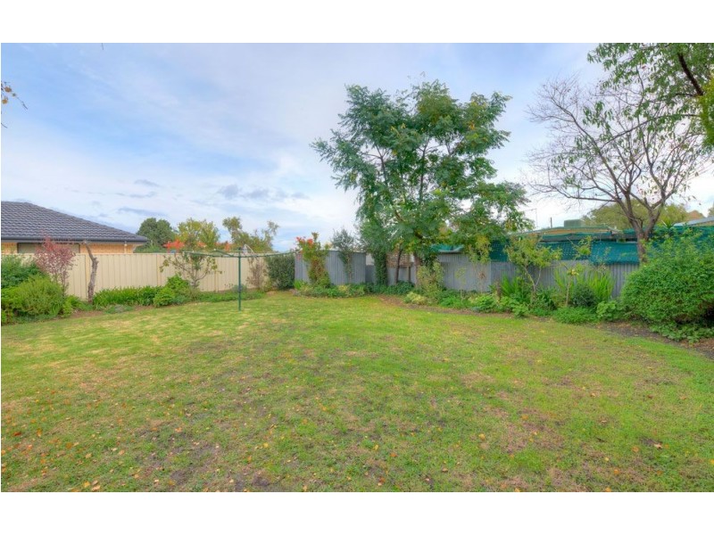 55 Lurline Avenue, Gilles Plains SA 5086