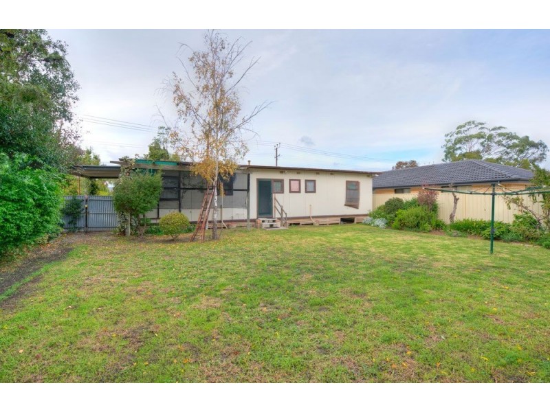 55 Lurline Avenue, Gilles Plains SA 5086