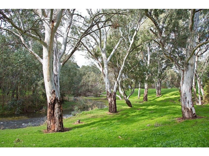 8/81 Windsor Grove, Klemzig SA 5087