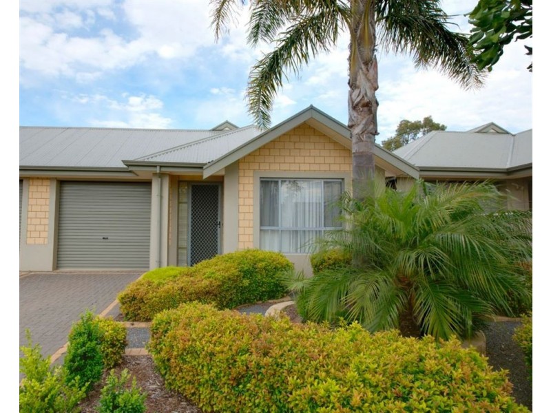 29b Bricknell Avenue, Magill SA 5072