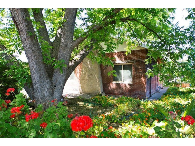 41 Derlanger Avenue, Collinswood SA 5081