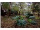 10 Norton Summit Road, Magill SA 5072