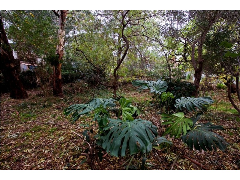 10 Norton Summit Road, Magill SA 5072