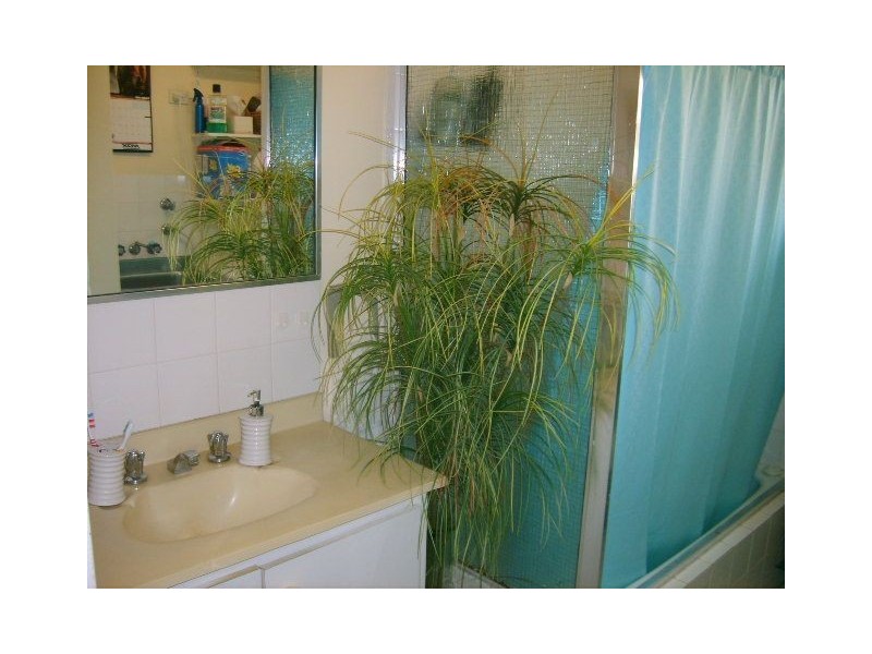 3/119 Moray Street, New Farm QLD 4005