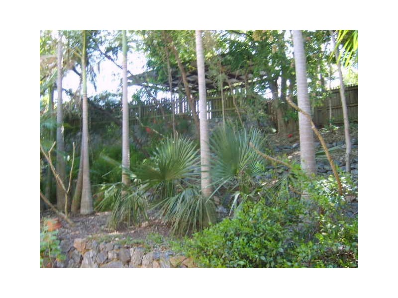 186 Waterworks Road, Ashgrove QLD 4060