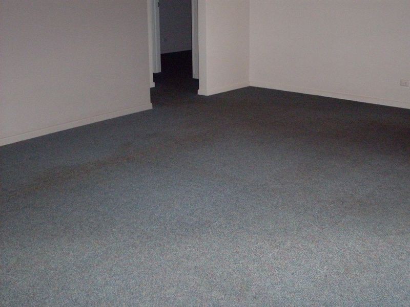 2/293 Lancaster Road, Ascot QLD 4007