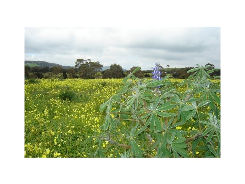 * Bungala Fields Estate, Normanville SA 5204