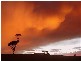 lot 101 Main Sth Rd, Yankalilla SA 5203