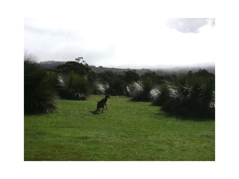 Lot 2 Blowhole Beach Road, Deep Creek SA 5204