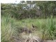 Lot 2 Blowhole Beach Road, Deep Creek SA 5204