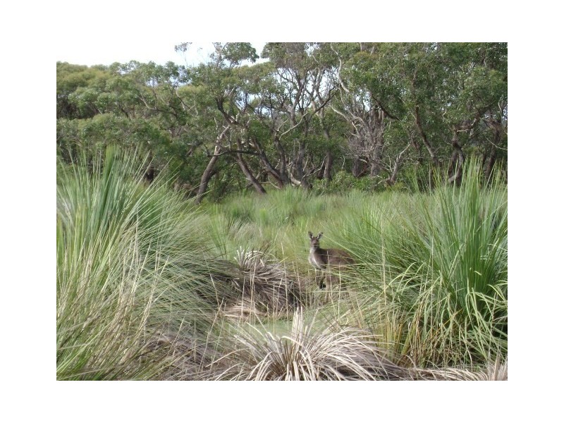 Lot 2 Blowhole Beach Road, Deep Creek SA 5204