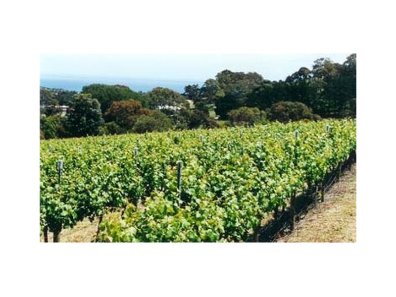 lot 1 Martin Rd, Yankalilla SA 5203