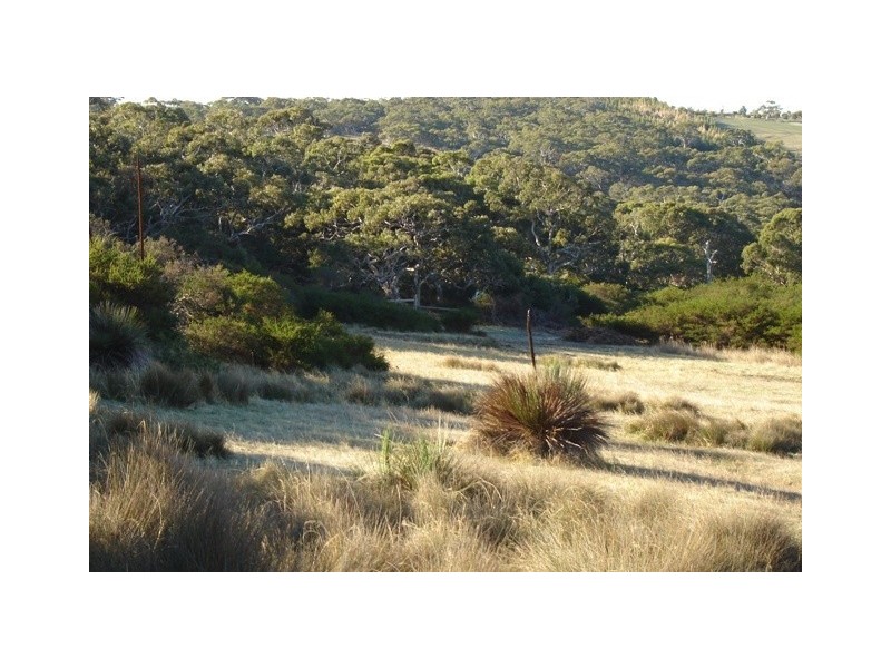 Lot 2 No Where Else Rd, Delamere SA 5204