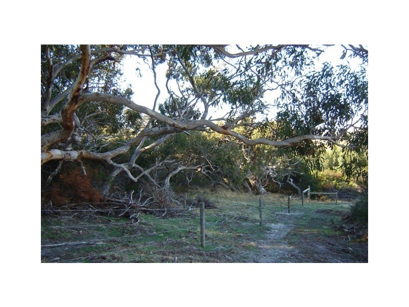 Lot 2 No Where Else Rd, Delamere SA 5204