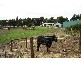 Lot 6 Cole Road, Delamere SA 5204