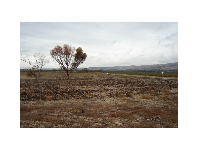 Lot 50 Plains Road, Sellicks Hill SA 5174