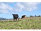 Lot 4 Back Valley Road, Victor Harbor SA 5211