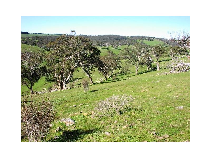 Lot 9 Sappers Rd, Cape Jervis SA 5204