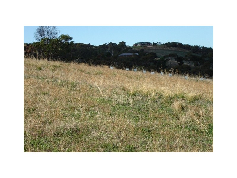 311 Mitchell Heights, Normanville SA 5204