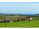 Lot 541 Coomooloo Road, Inman Valley SA 5211