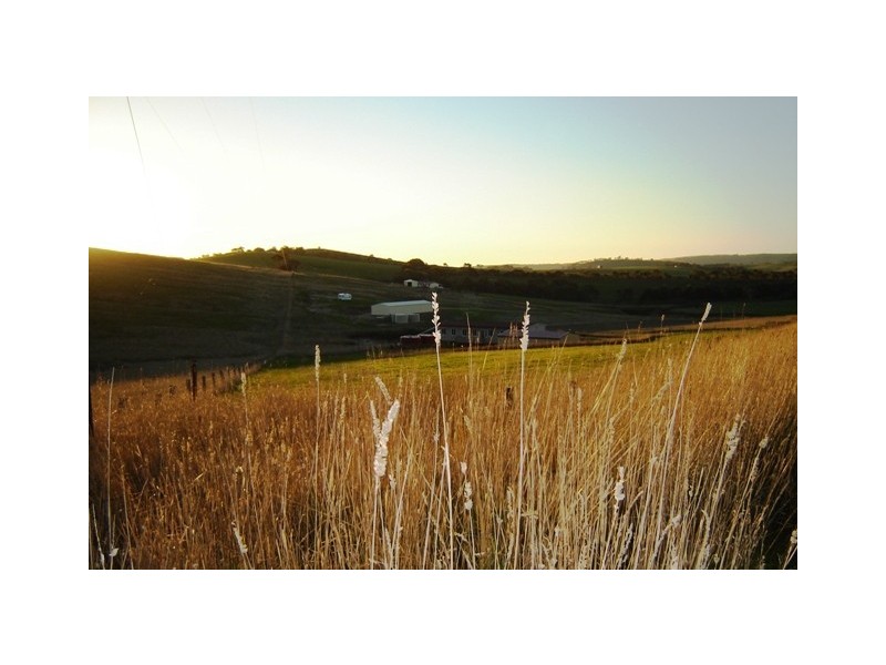 Lot 14 Torrens Vale Road, Yankalilla SA 5203
