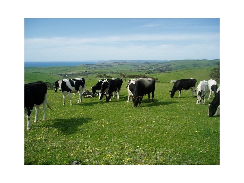 Lot 30 Main Sth Rd, Second Valley SA 5204