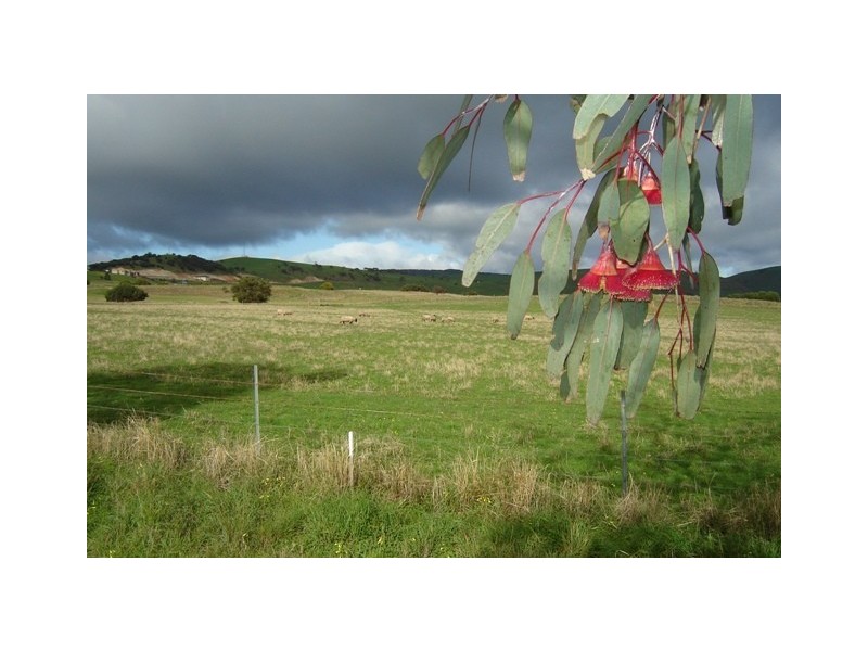 * Bungala Estate, Normanville SA 5204