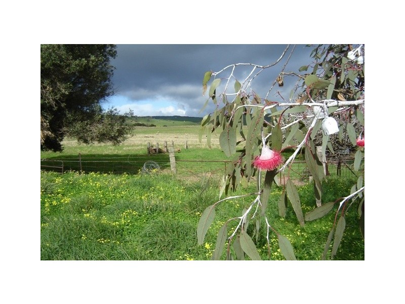 * Bungala Estate, Normanville SA 5204