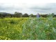 Lot 58 Resolute Drive, Bungala Fields, Normanville SA 5204