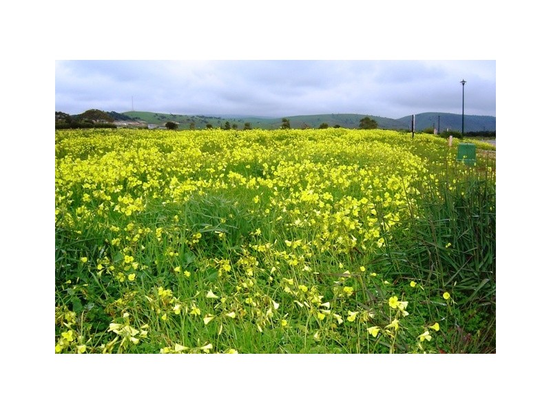 Lot 58 Resolute Drive, Bungala Fields, Normanville SA 5204