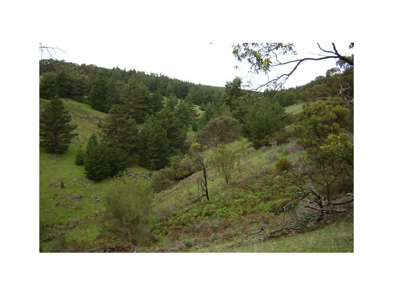 Sec 1543 Fowles Road, Second Valley SA 5204