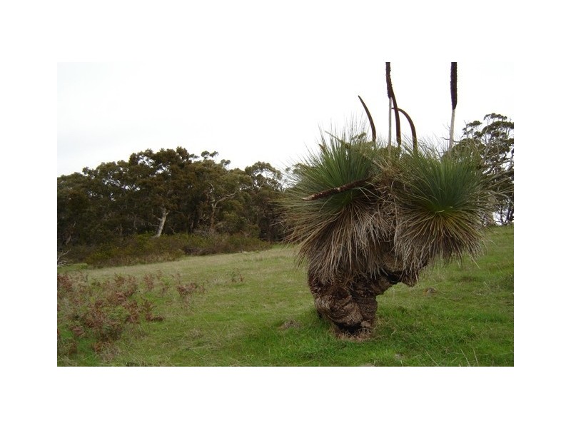 Sec 1543 Fowles Road, Second Valley SA 5204