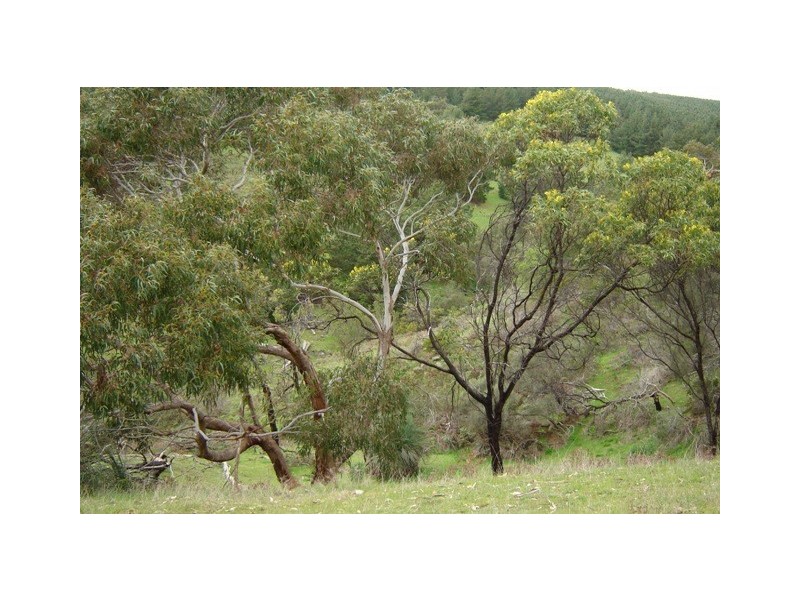 Sec 1543 Fowles Road, Second Valley SA 5204