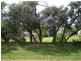 28 Carrickalinga Road, Carrickalinga SA 5204