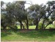Lot 1 Carrickalinga Road, Carrickalinga SA 5204