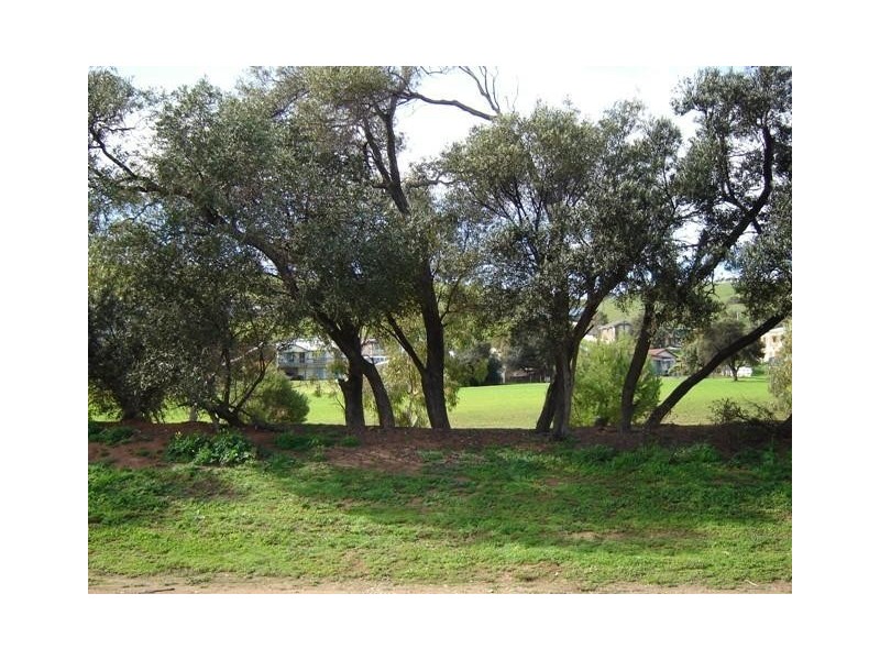 Lot 1 Carrickalinga Road, Carrickalinga SA 5204